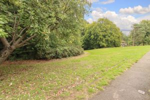 Photo 2- click for photo gallery